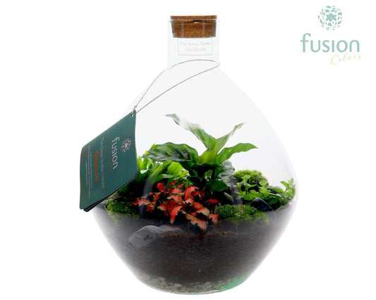 Terrarium John Large met arrangement 35cm 26cm Pot