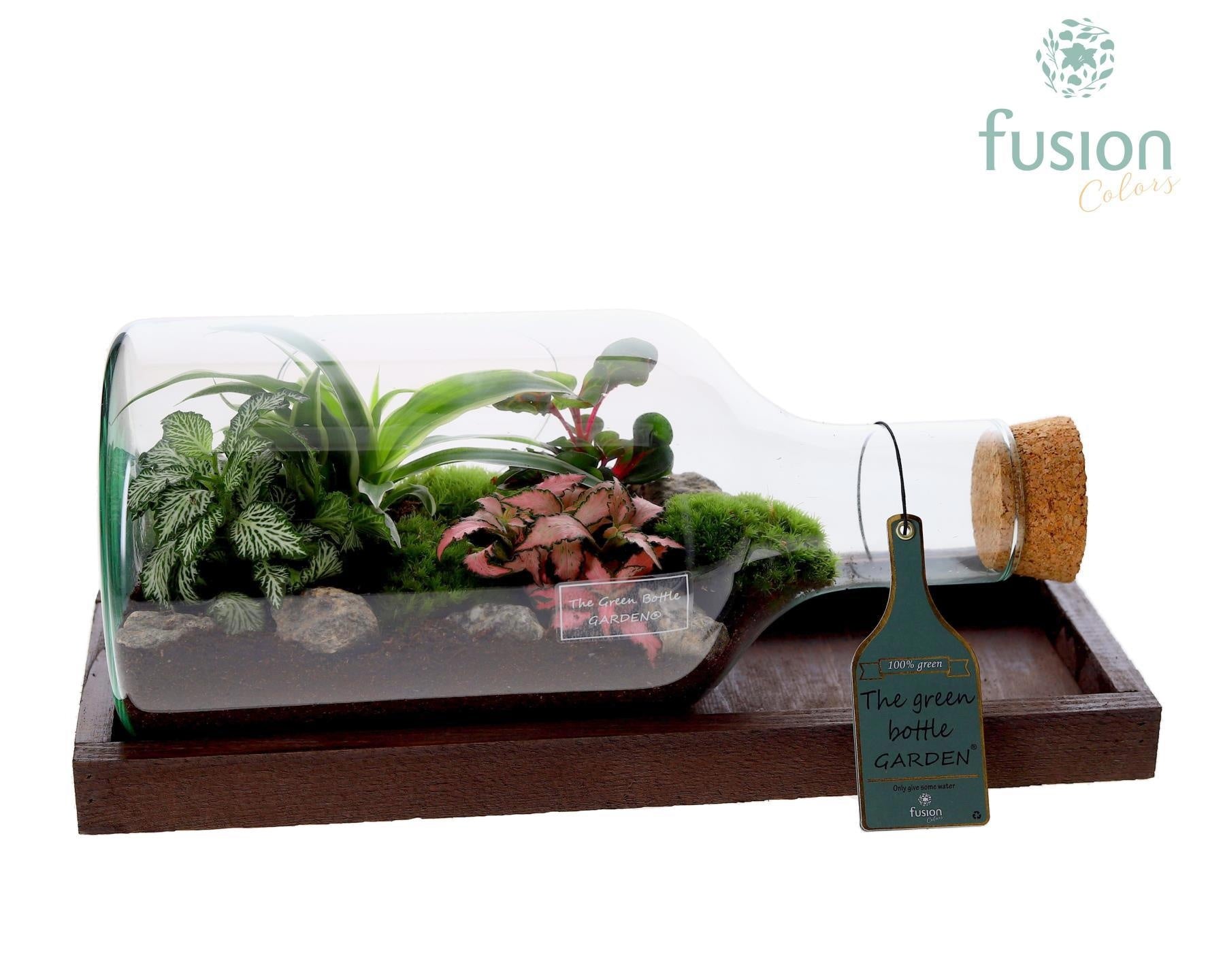Fusioncolors BV Green Bottle Fles Small liggend met groene planten 4pp Pack of 2