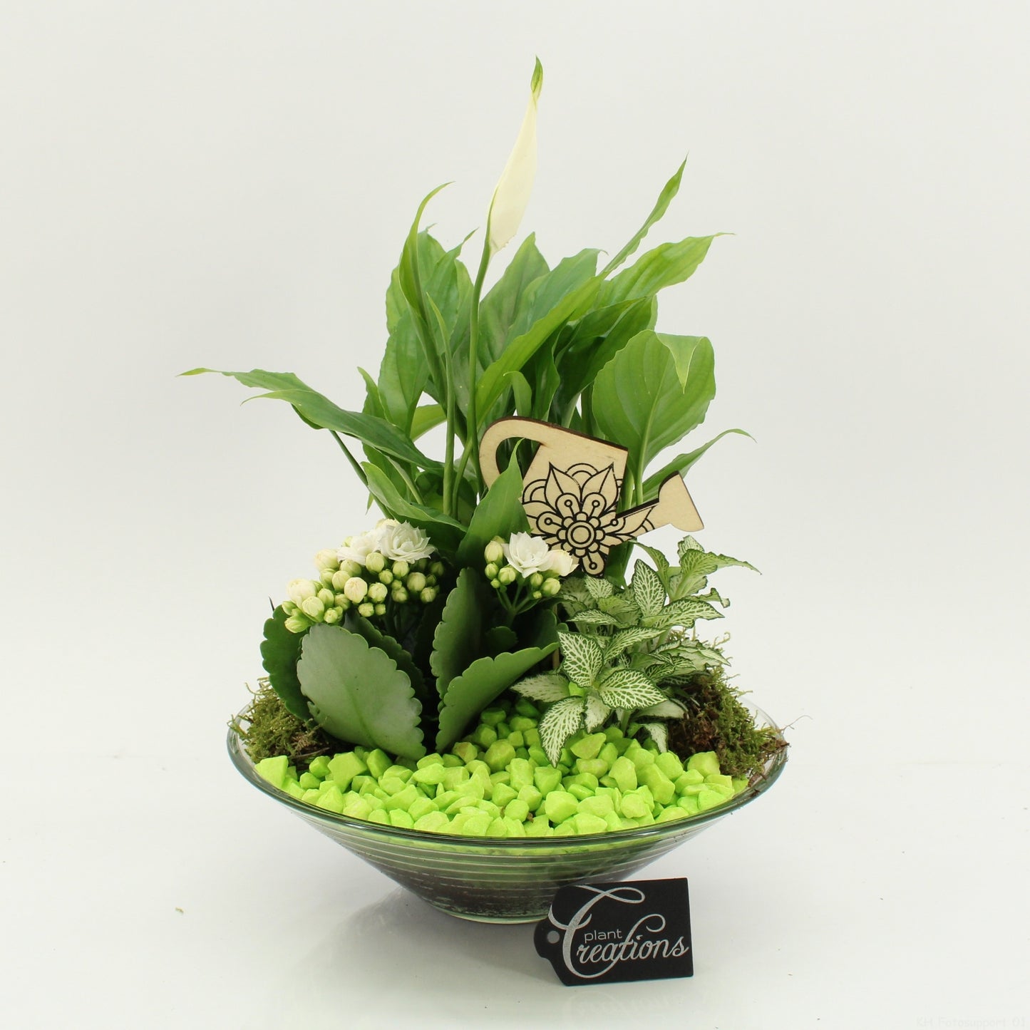 FDCR-2602GR Basic Fundamentals 35cm 25cm Pot