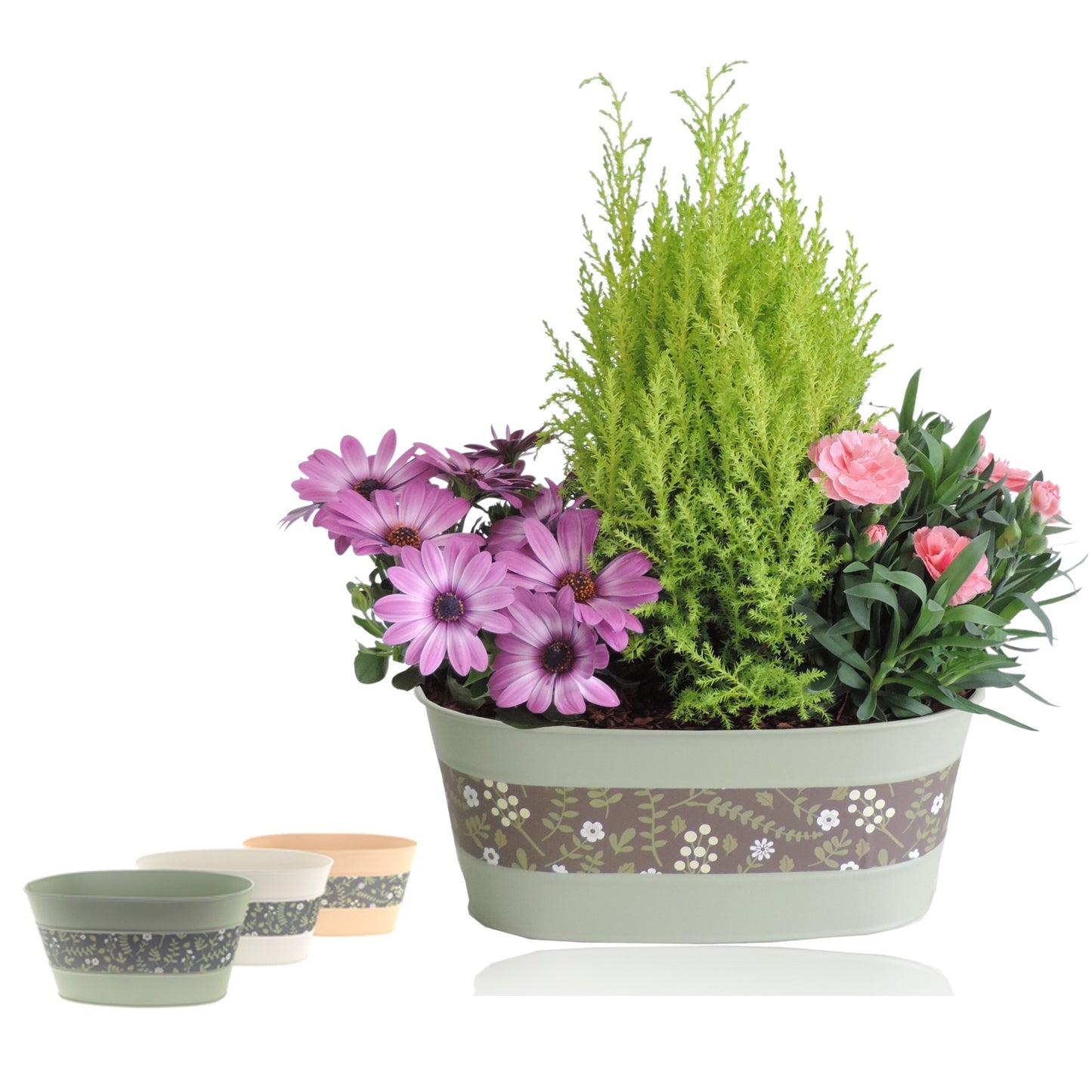 Outdoor arrangement 40cm 26cm Pot