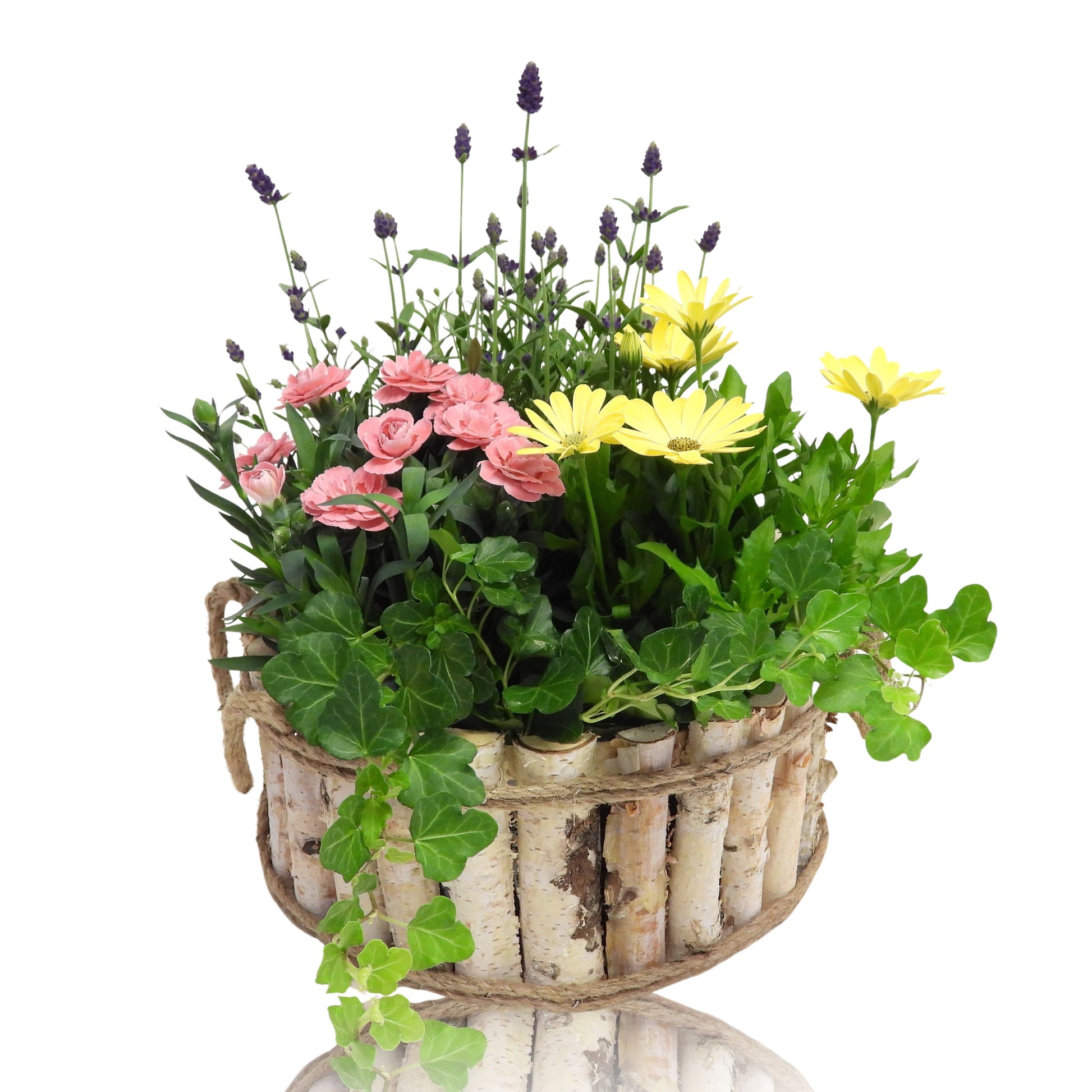 Outdoor arrangement 35cm 26cm Pot