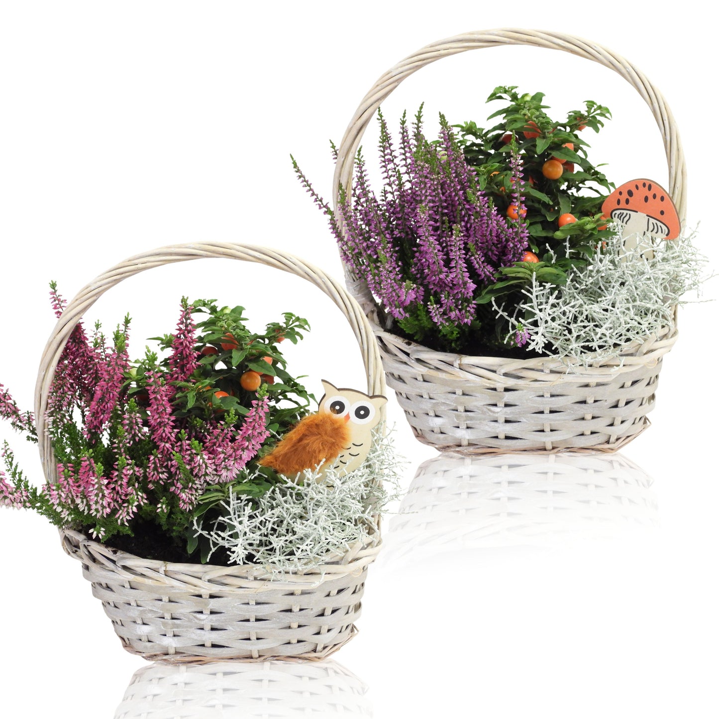 Outdoor arrangement 40cm 20cm Pot