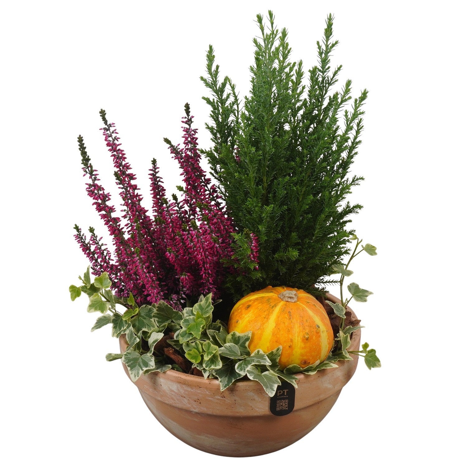 Outdoor arrangement 34cm 19cm Pot