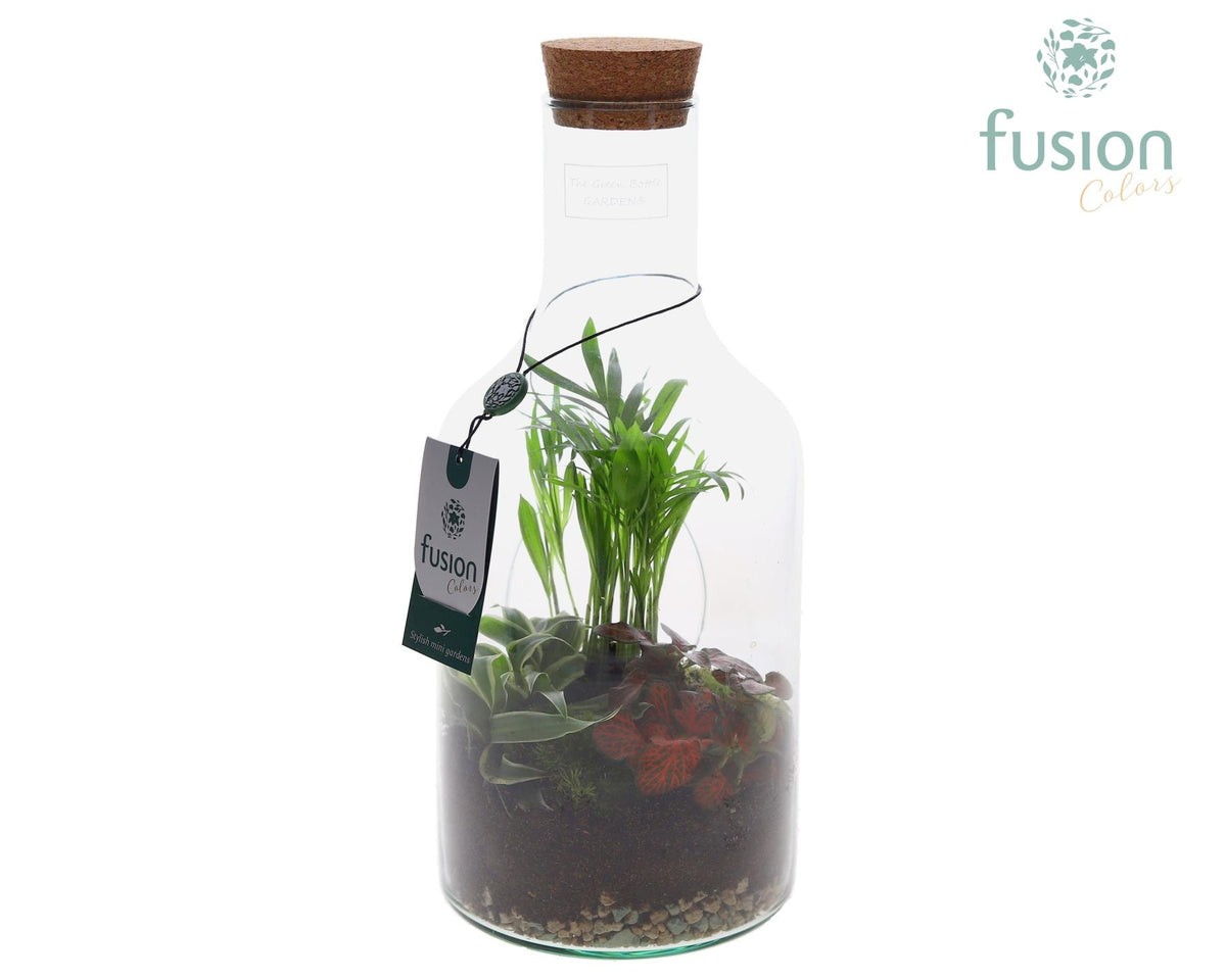 Green Bottle Fles Small met Arrangement 35cm 15cm Pot