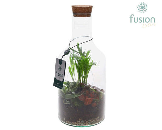 Green Bottle Fles Small met Arrangement 35cm 15cm Pot