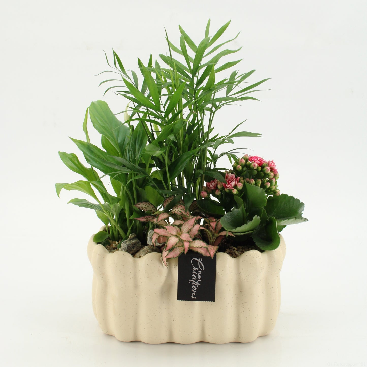 ESCR-2614RZ Essentials 40cm 23cm Pot