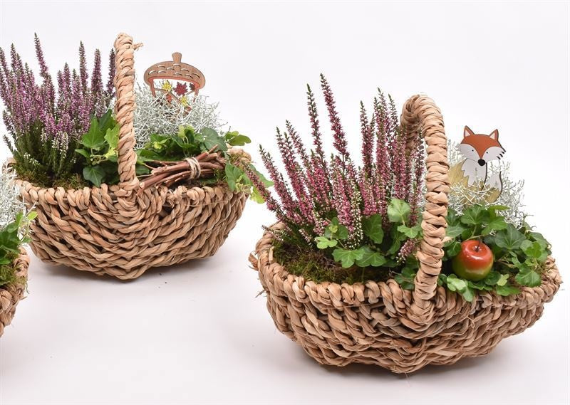 Outdoor arrangement 27cm Pot