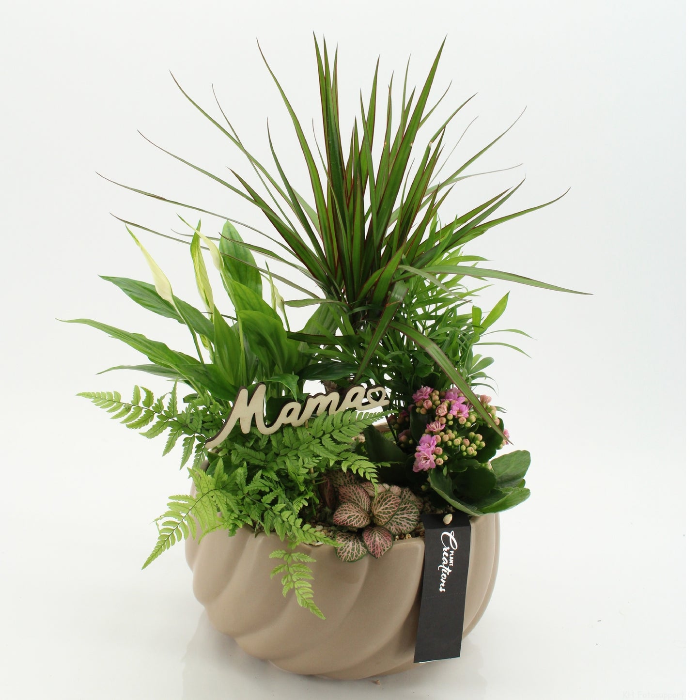 Indoor flowering arrangement 45cm 24cm Pot