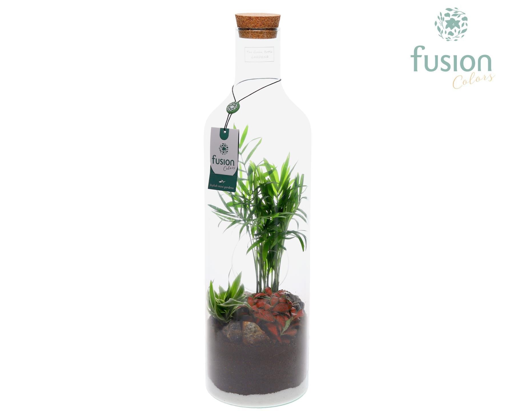Green BottleLarge met Arrangement 55cm 15cm Pot