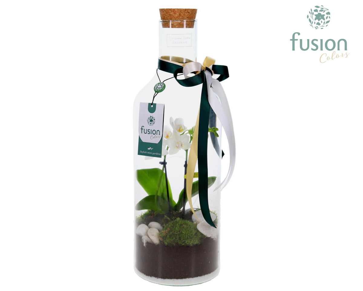 Green Bottle Fles Medium met arrangement 43cm 15cm Pot