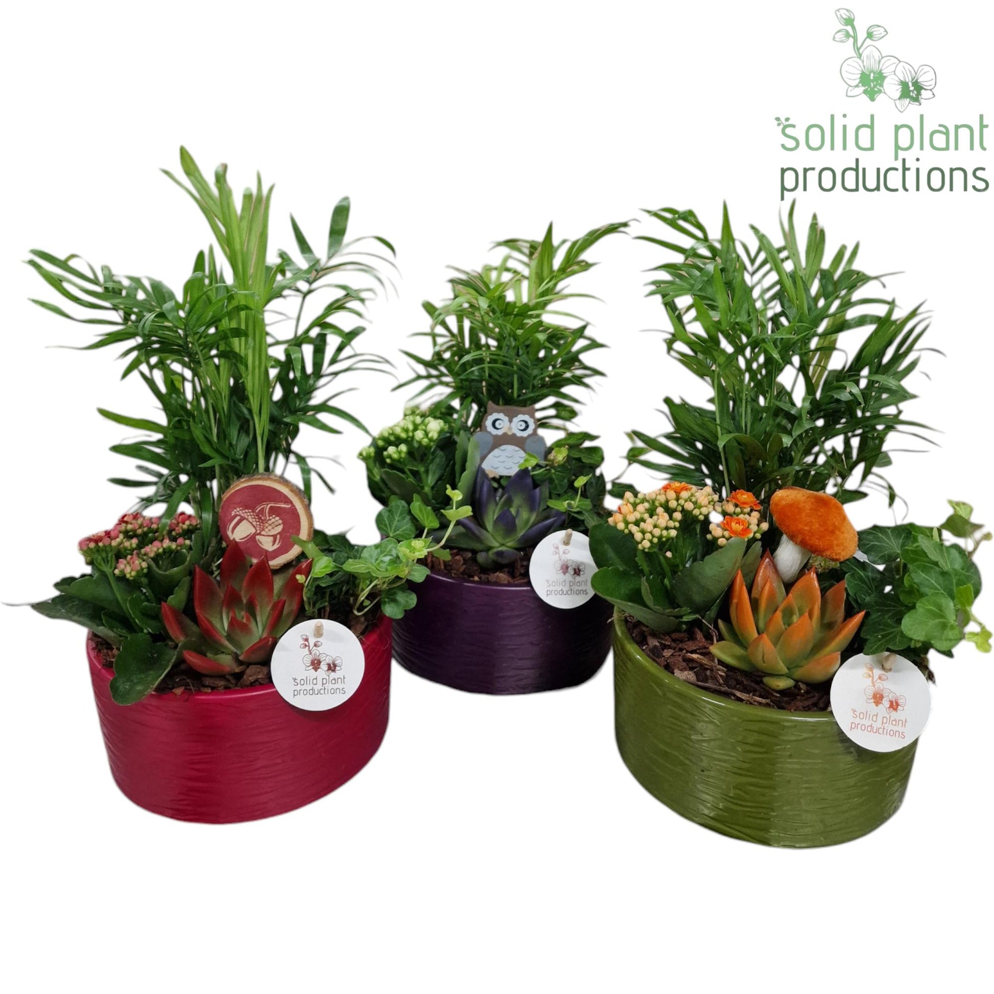 CE003 Loes Autumn Mix 38cm 19cm Pot