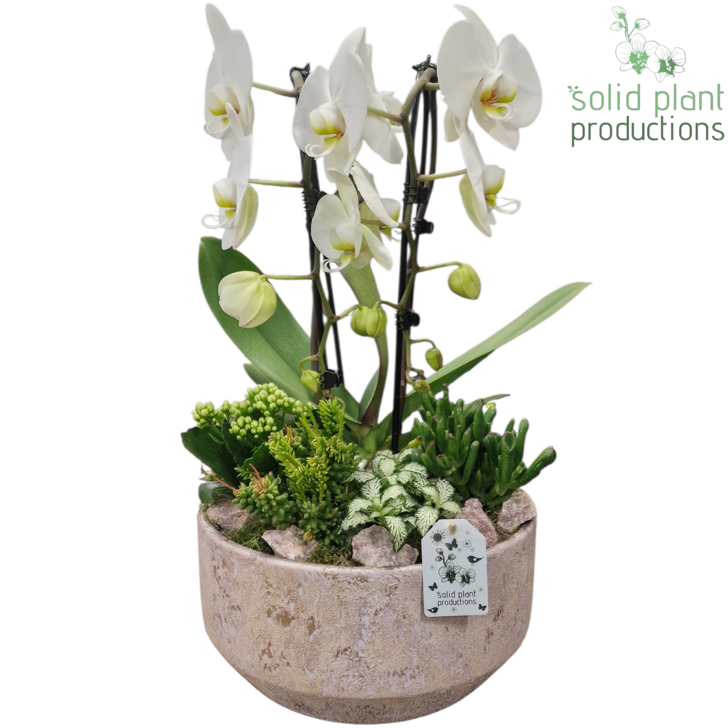 PH240 Maria Gold Bowl White 50cm 28cm Pot