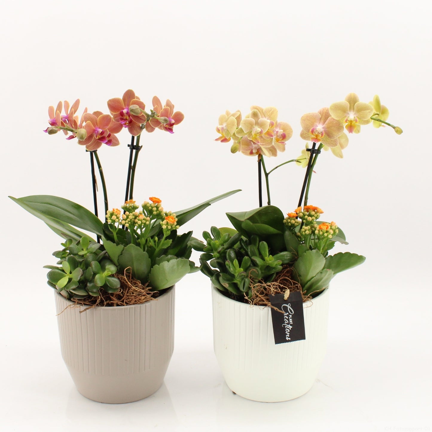PROMO-A2605 40cm 16cm Pot