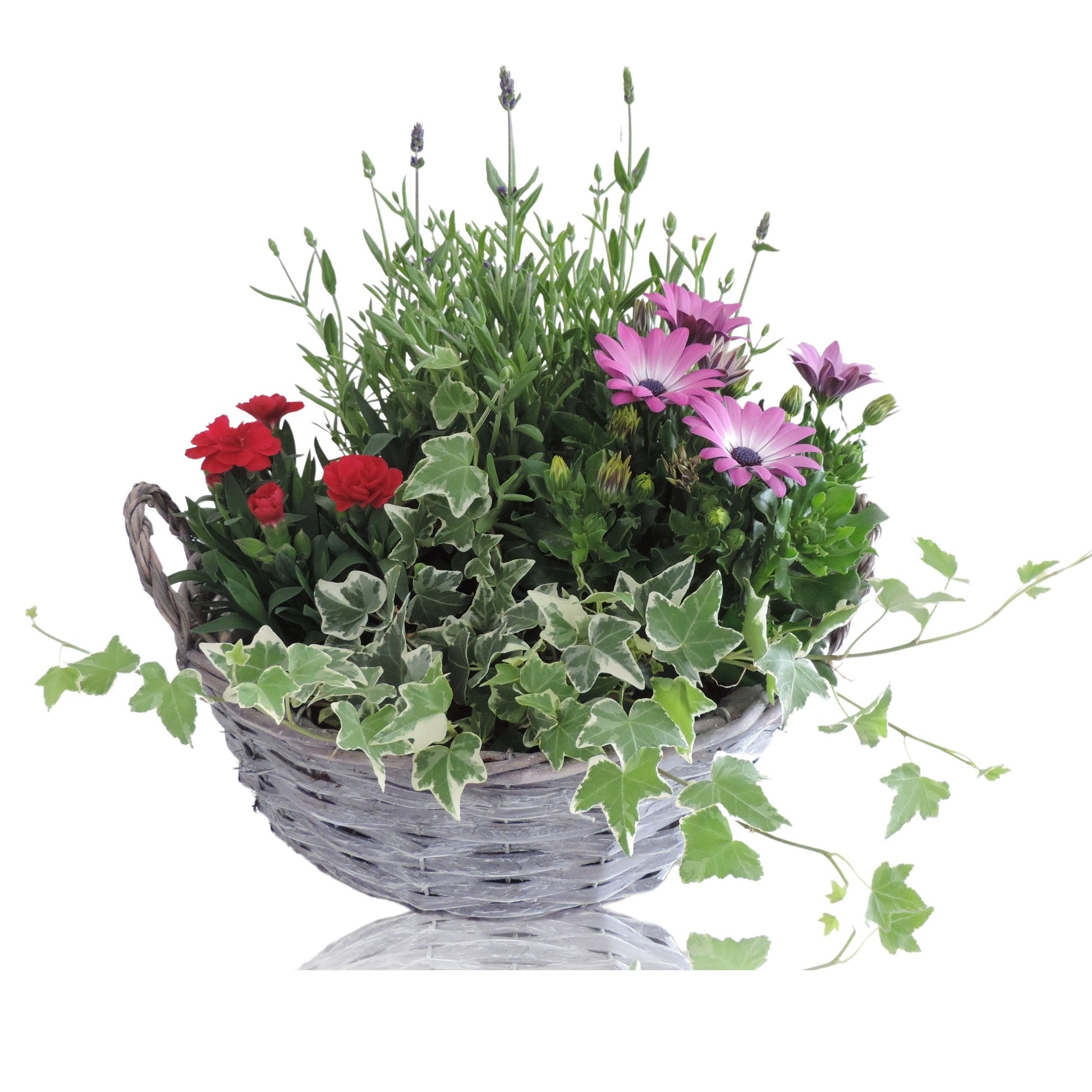 Outdoor arrangement 35cm 29cm Pot