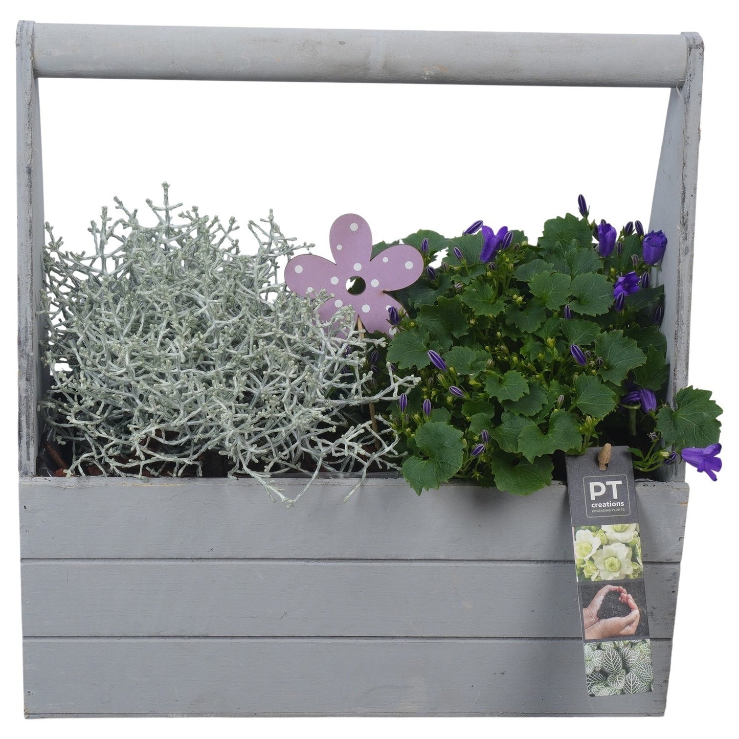 Outdoor arrangement 32cm 30cm Pot