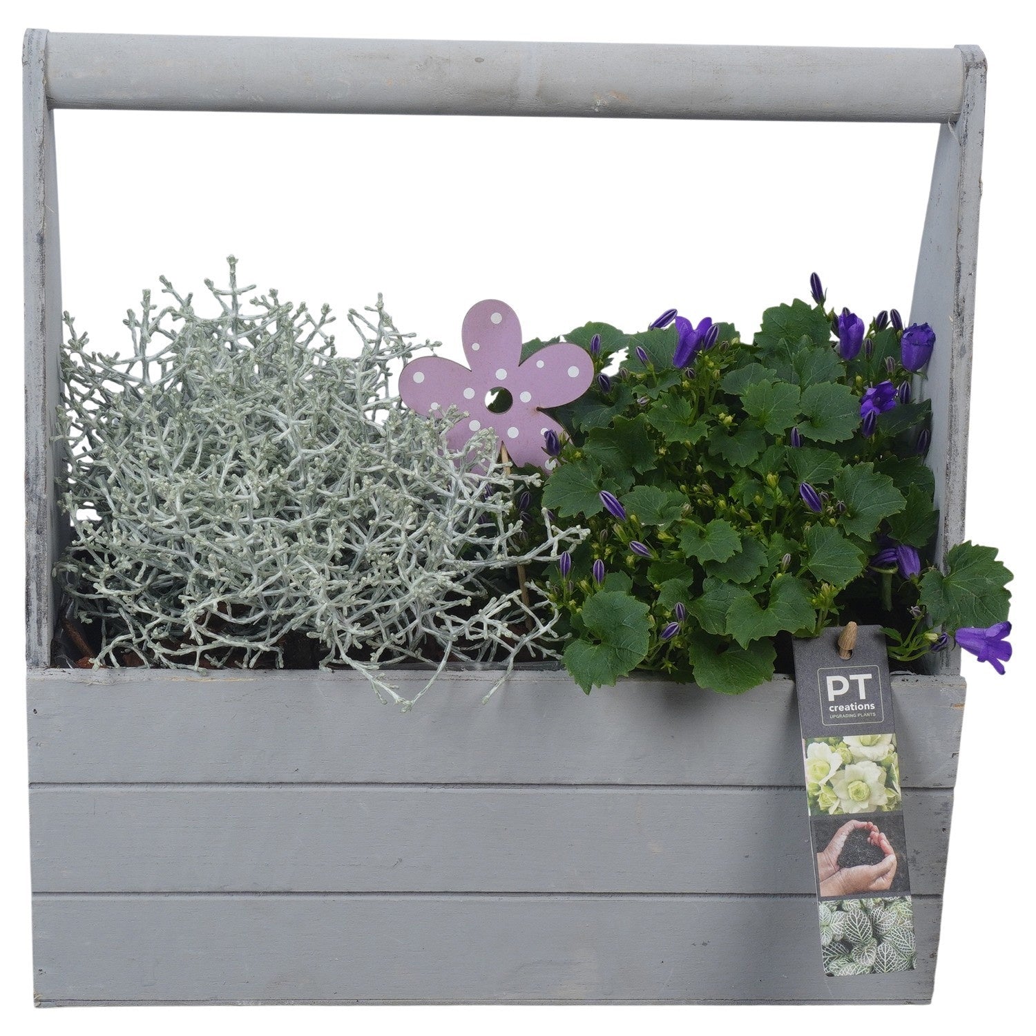 Outdoor arrangement 32cm 30cm Pot
