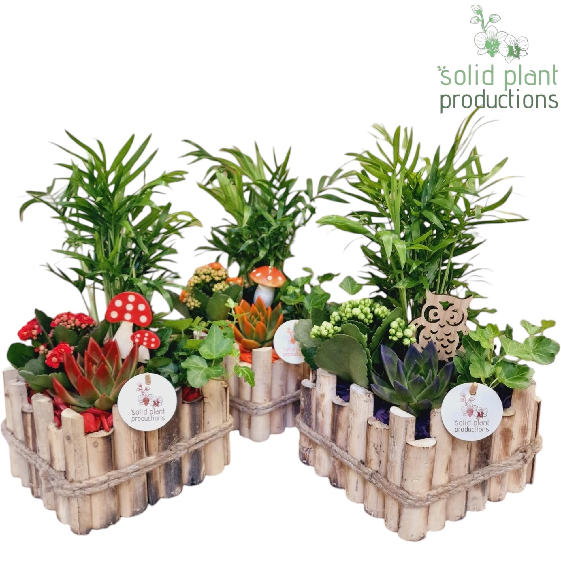 HCE004 Verona Small Autumn Mix 35cm 18cm Pot