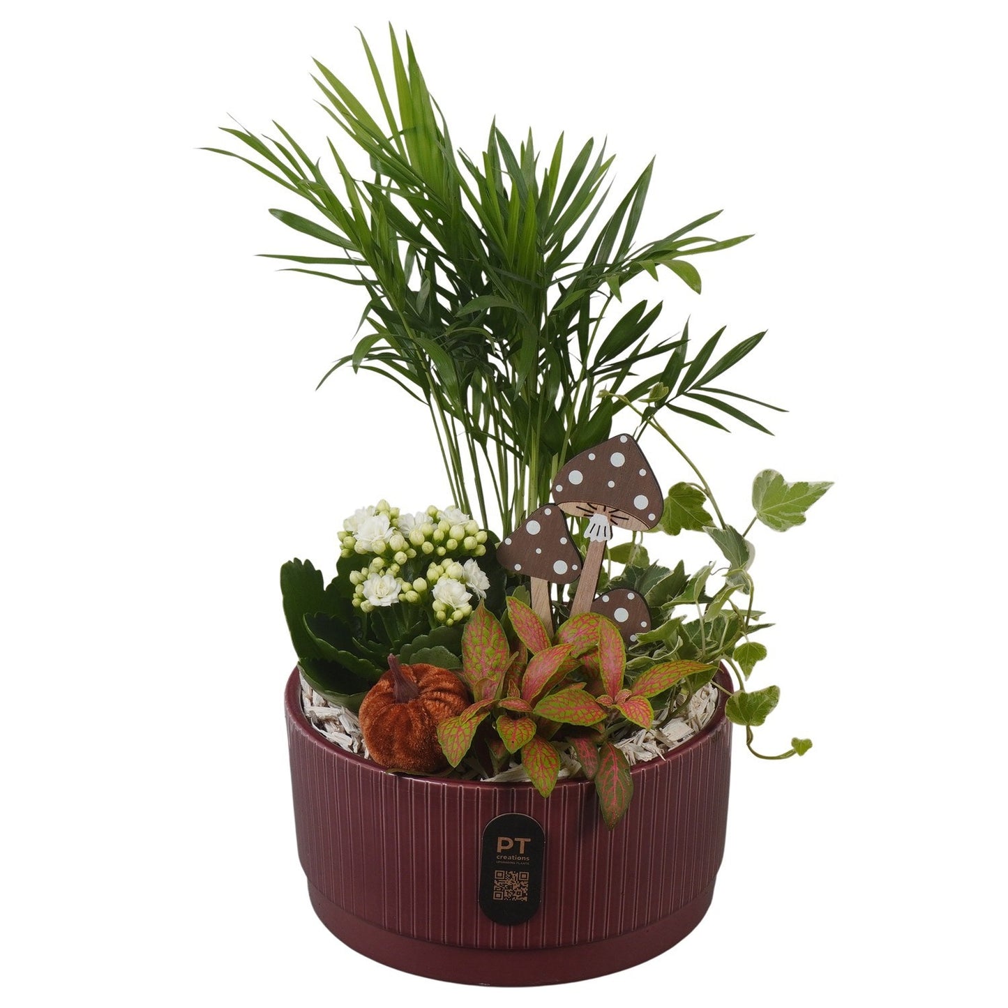 Indoor arrangement 34cm 19cm Pot