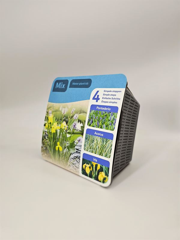 Do-it-yourself box Water plants Pontederia 12cm 18cm Pot