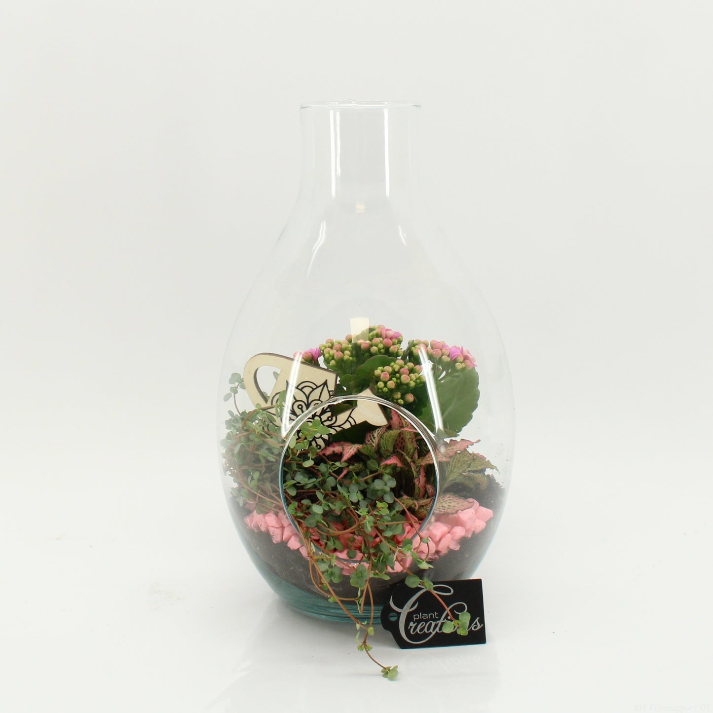Indoor flowering arrangement 30cm 17cm Pot