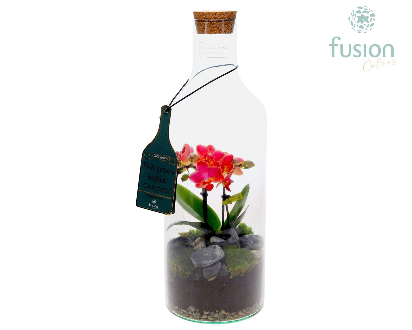 Green Bottle Fles Medium met Phalaenopsis 44cm 15cm Pot