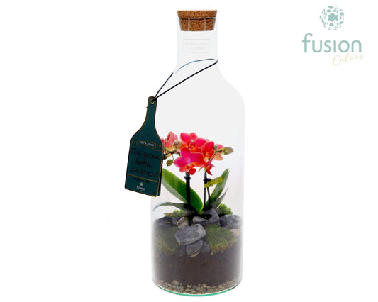 Green Bottle Fles Medium met Phalaenopsis 44cm 15cm Pot