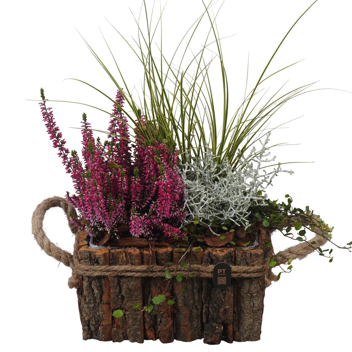Outdoor arrangement 43cm 20cm Pot