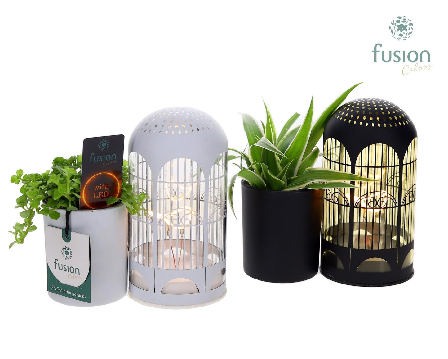 LED Lichtbal Vogels glazen planter met Groenen planten 15cm 17cm Pot