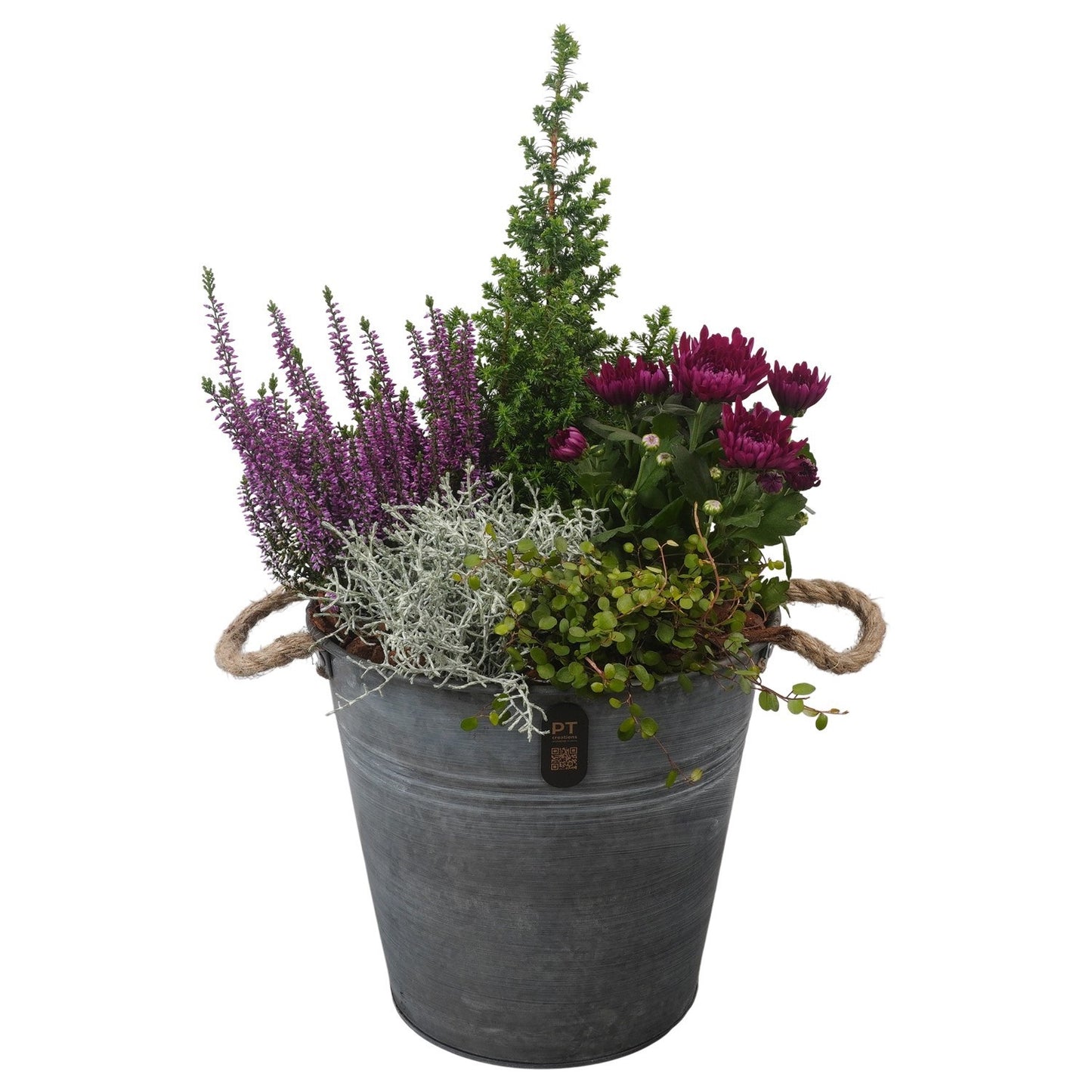 Outdoor arrangement 58cm 26cm Pot