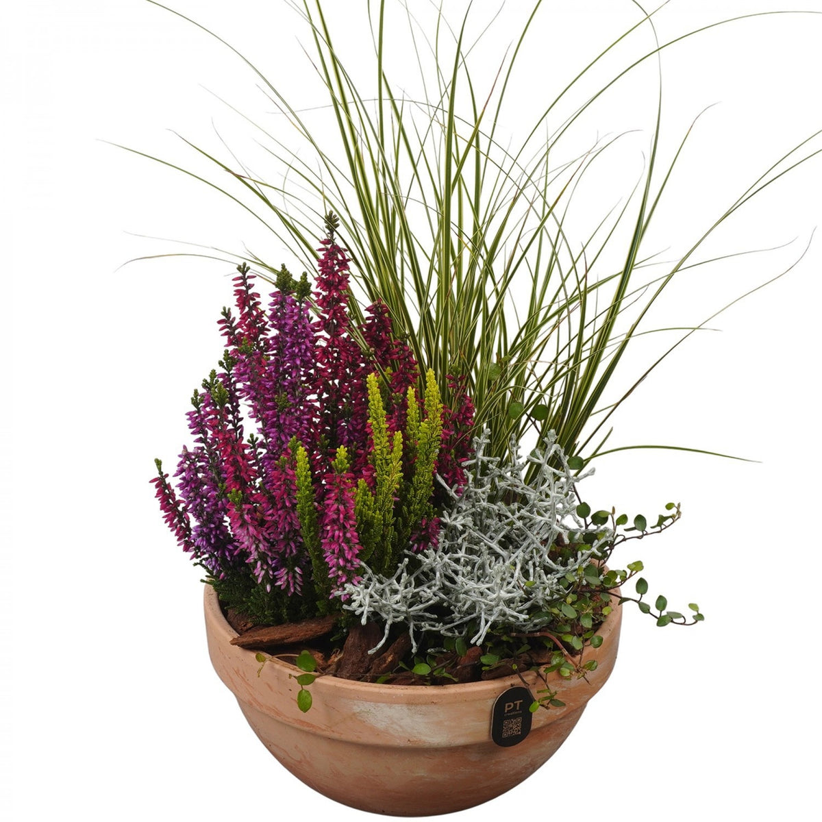Outdoor arrangement 45cm 19cm Pot