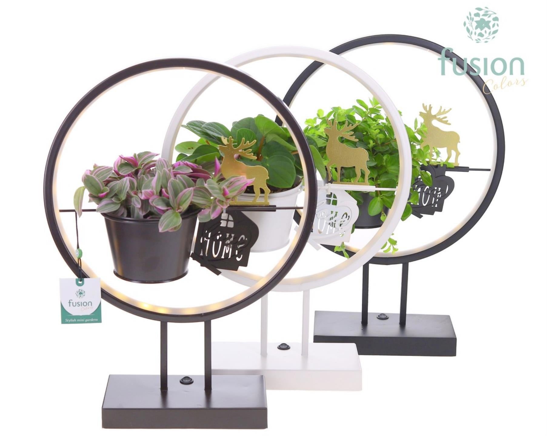Metalen LED globe met LoveHome en groene planten mix 43cm 30cm Pot