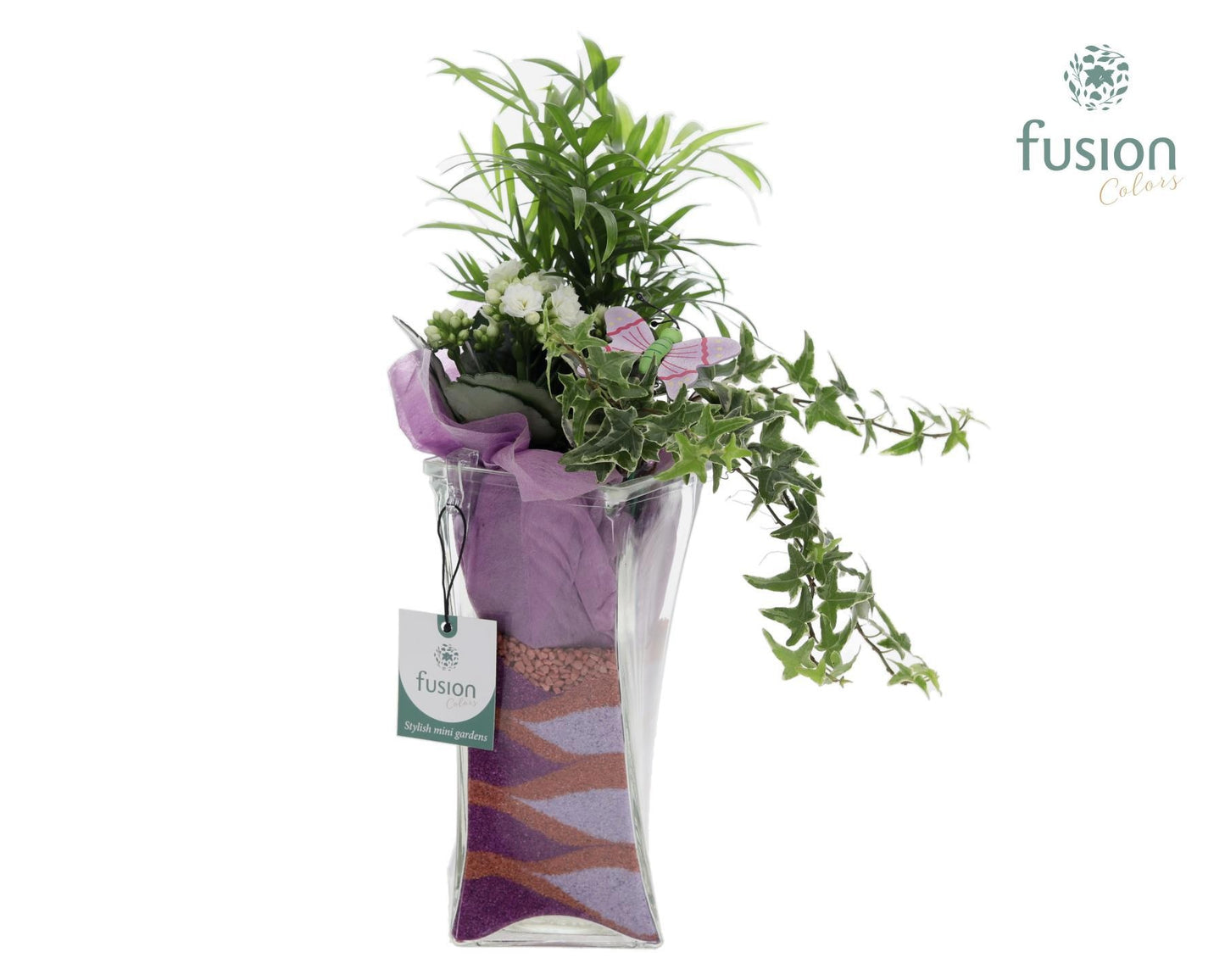 Fusioncolors BV Glas Twistervaas met Arrangement Vlinder 3pp Pack of 8