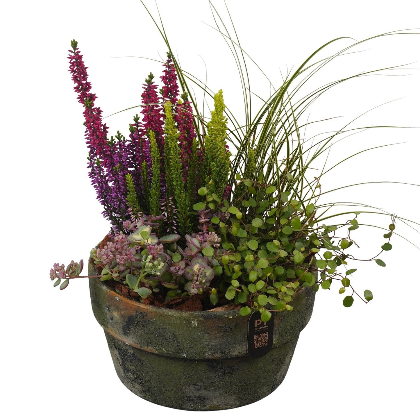 Outdoor arrangement 36cm 20cm Pot