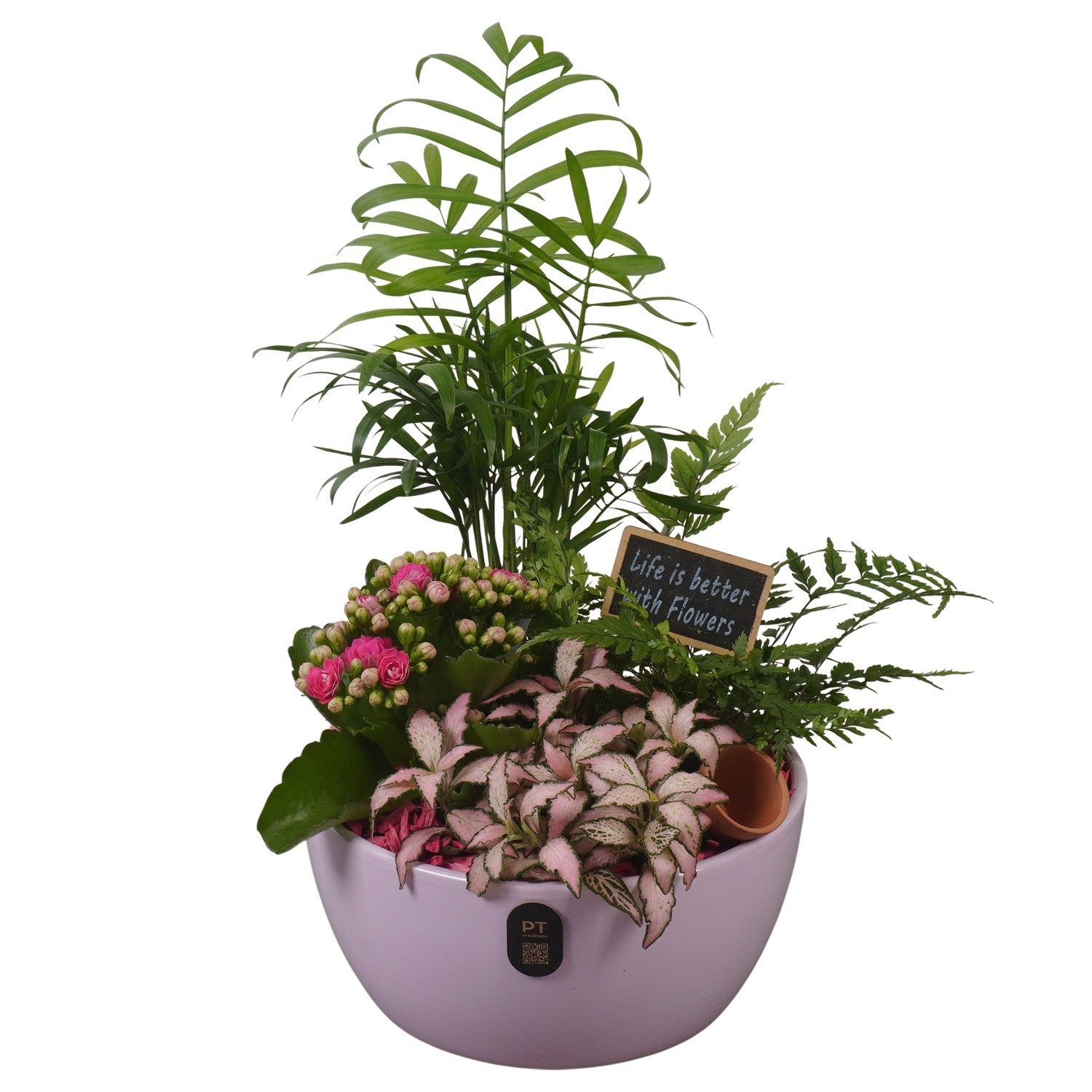 Indoor arrangement 33cm 18cm Pot
