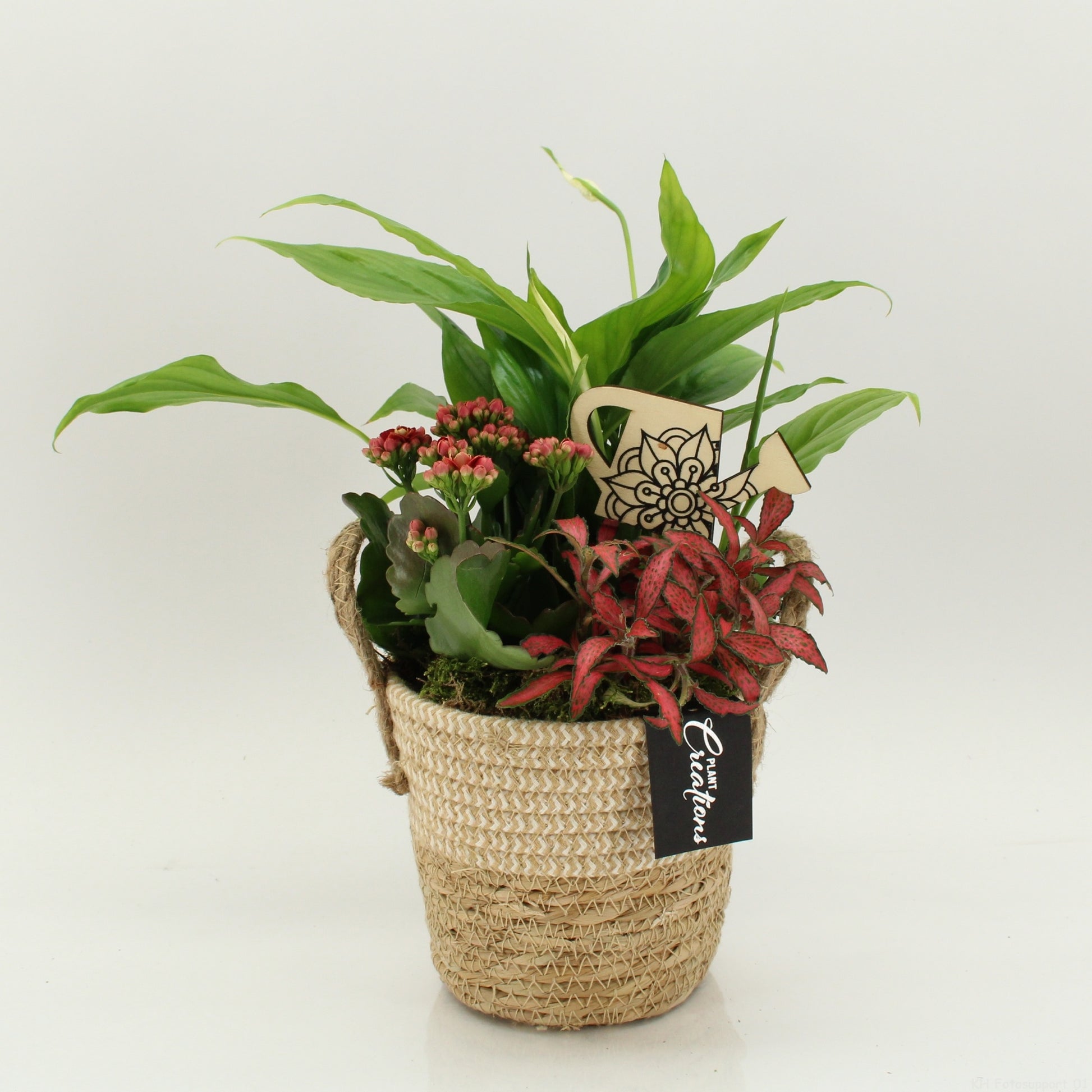 FDCR-2617R Basic Fundamentals 35cm 14cm Pot