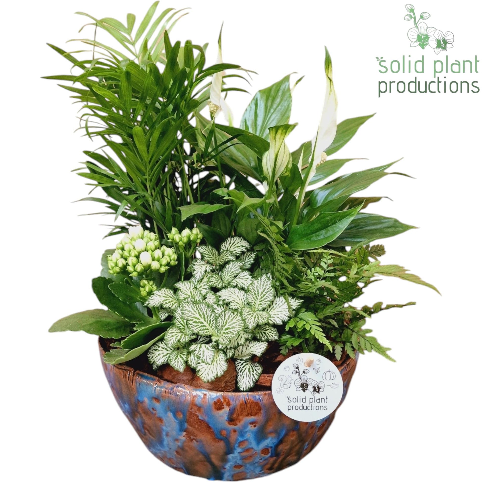 sc080-olivia-blue-5pp-mix-40cm-24cm-pot