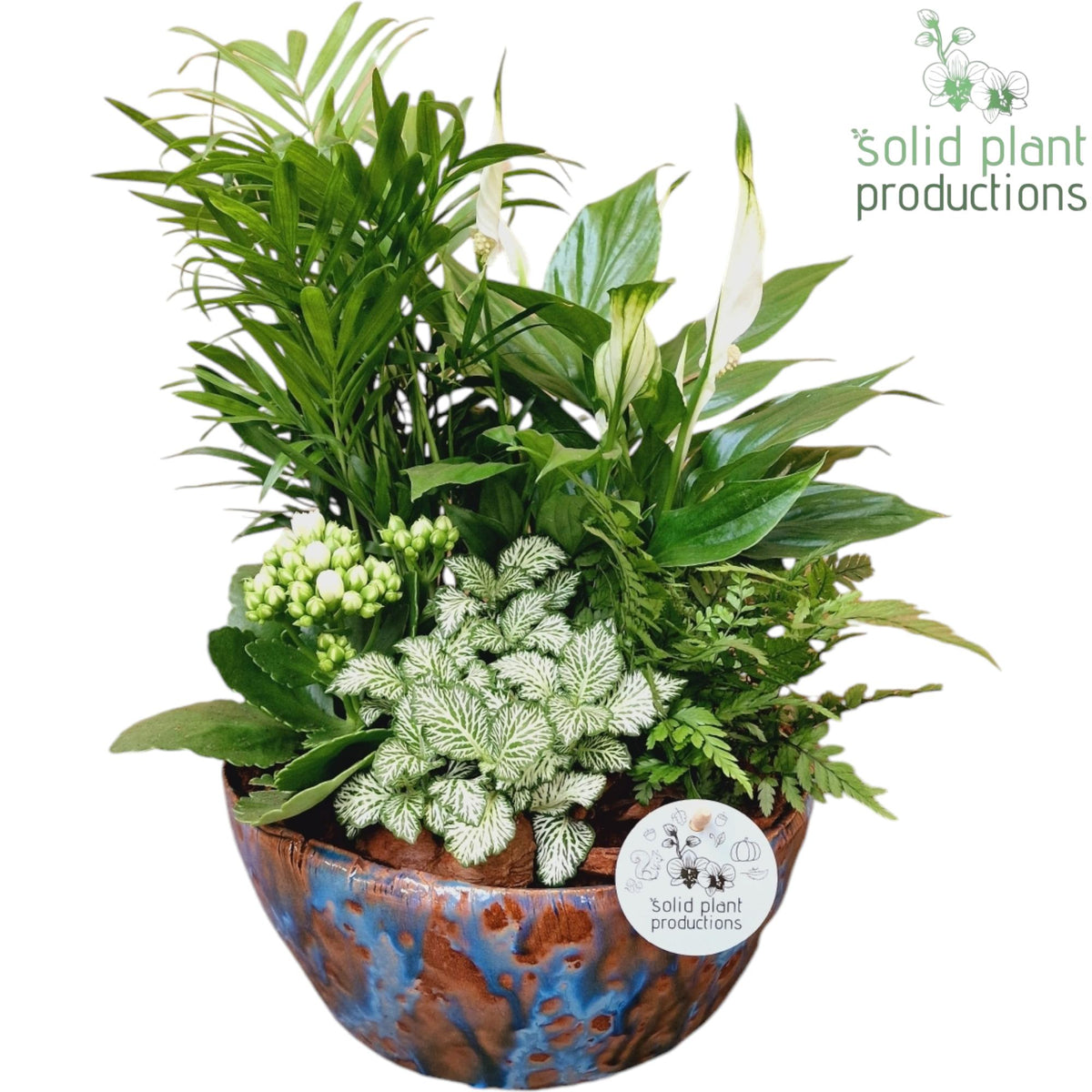 SC080 Olivia Blue 5PP Mix 40cm 24cm Pot