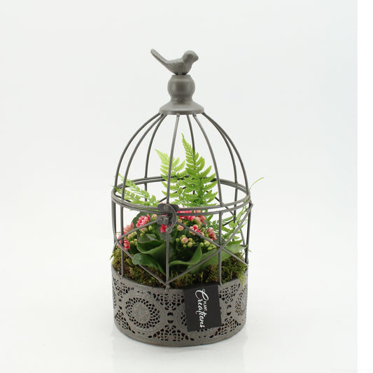 Indoor flowering arrangement 33cm 17cm Pot