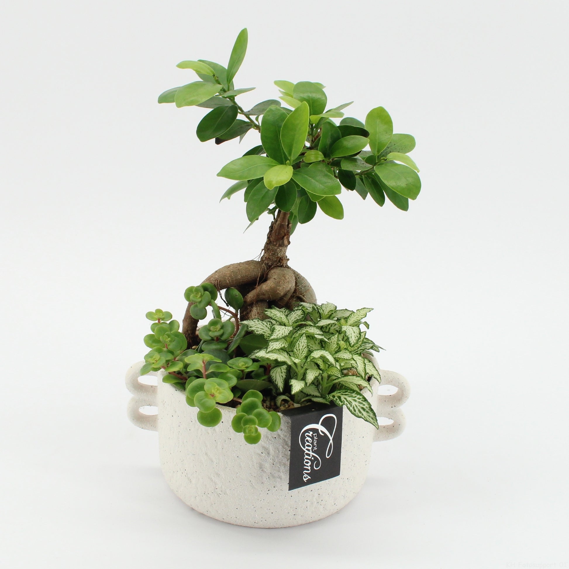 GRCR-2660 Green Essentials 30cm 20cm Pot