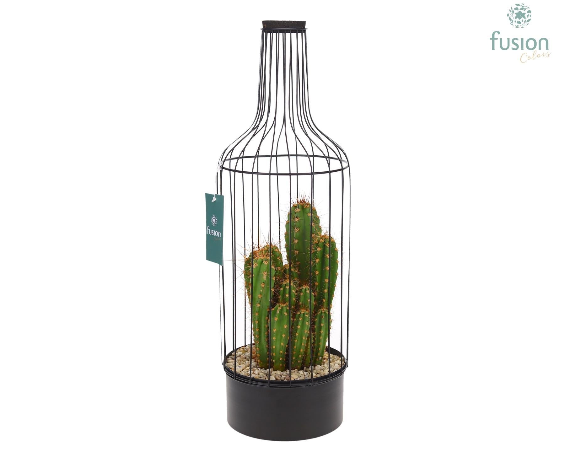 Fles metaal zwart Large met Cactussen 55cm 17cm Pot