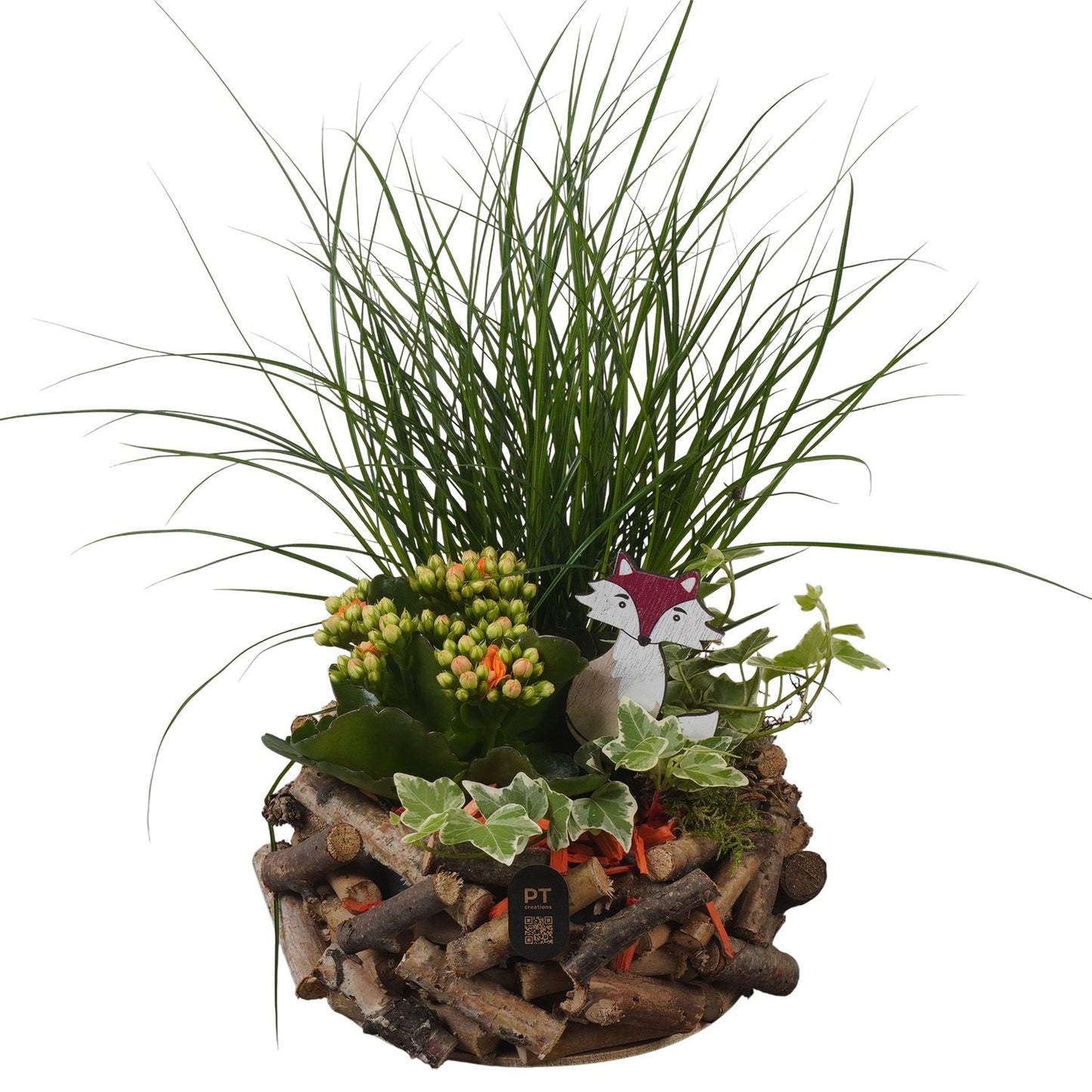 Indoor arrangement 34cm 20cm Pot