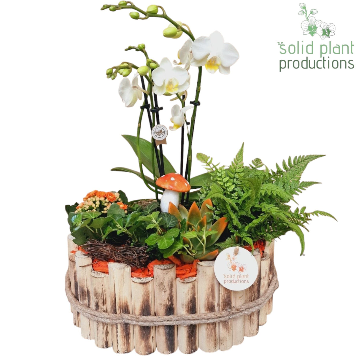 HPE007 Bologna Large Autumn Orange 45cm 30cm Pot