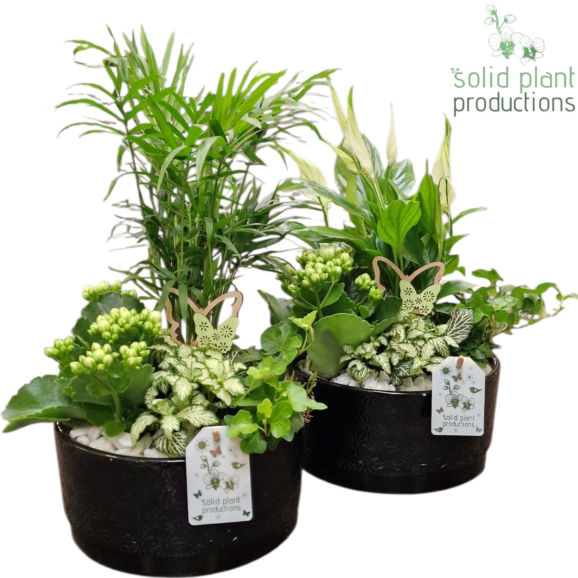 SC003 Loes Black Mix 35cm 18cm Pot
