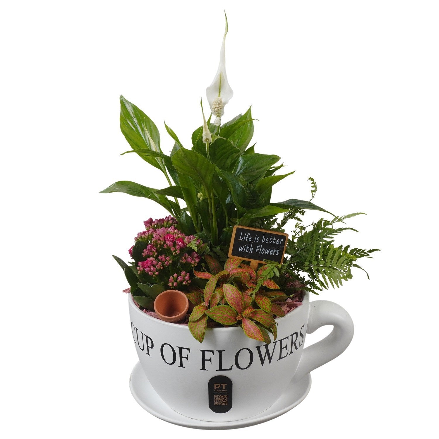 Indoor arrangement 44cm 24cm Pot
