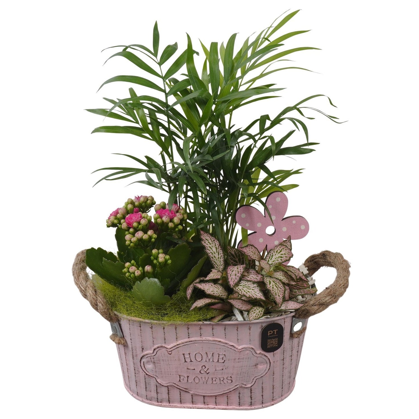 Indoor arrangement 31cm 19cm Pot