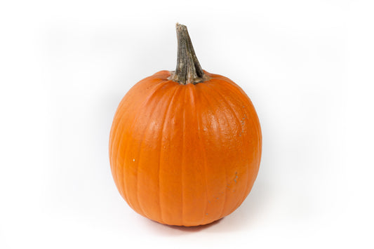 Cucurbita max. Halloween 40cm Pot