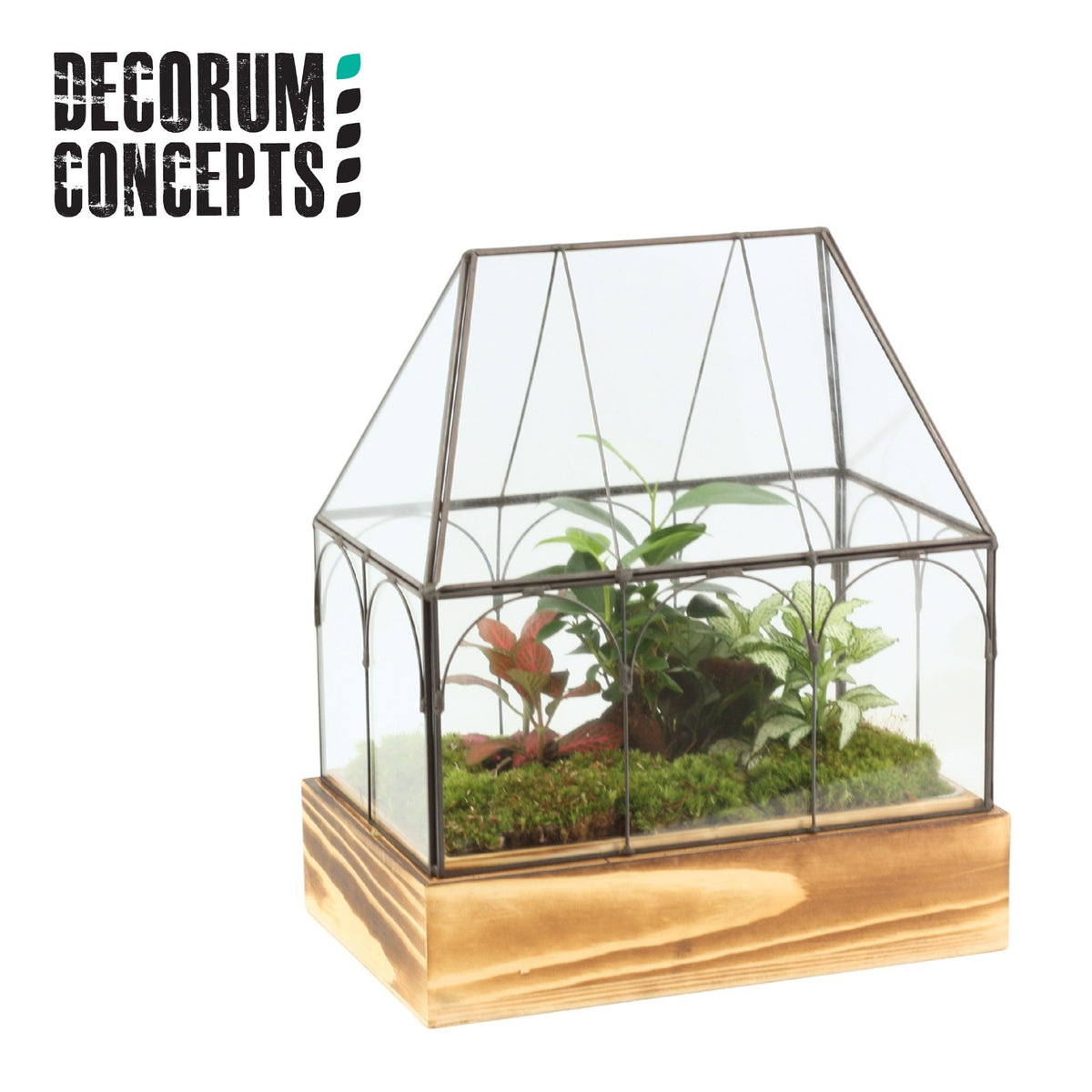 Indoor green arrangement 32cm Pot