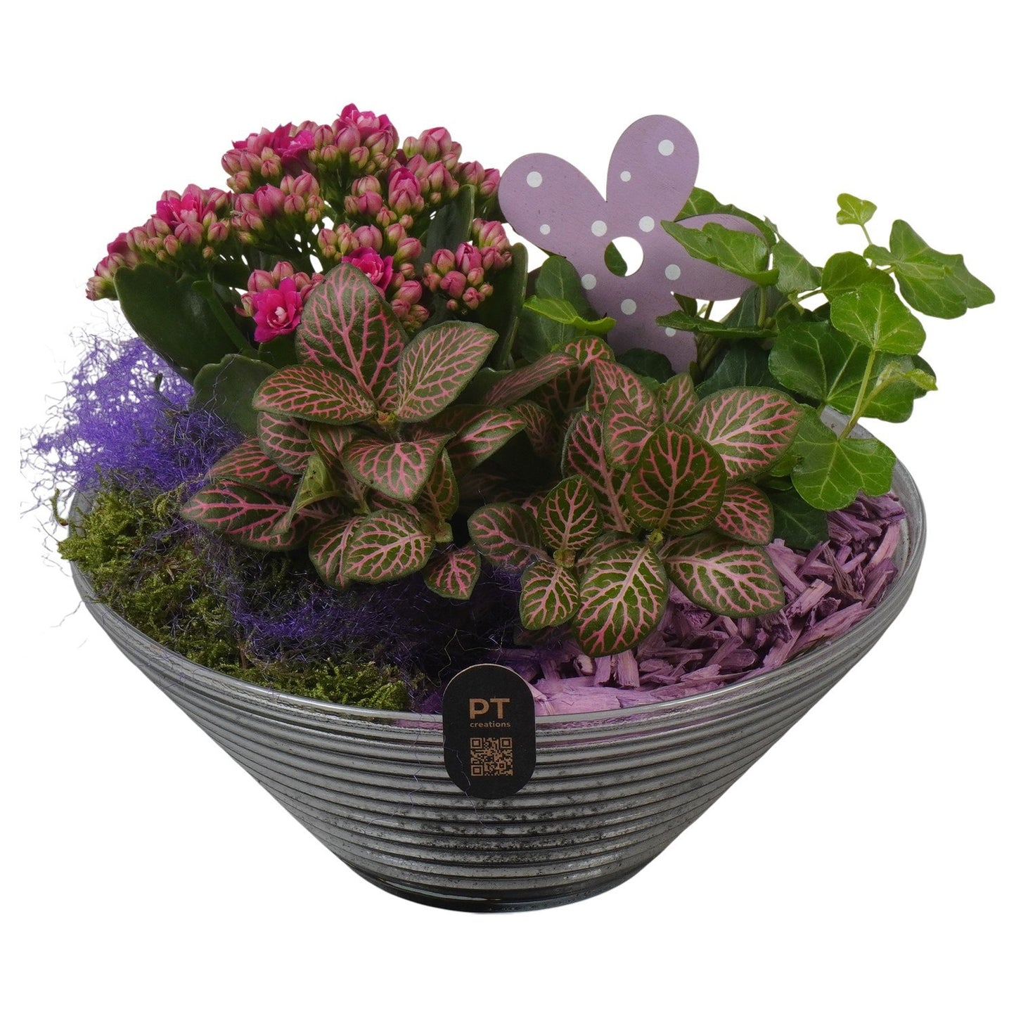 Indoor arrangement 18cm 19cm Pot