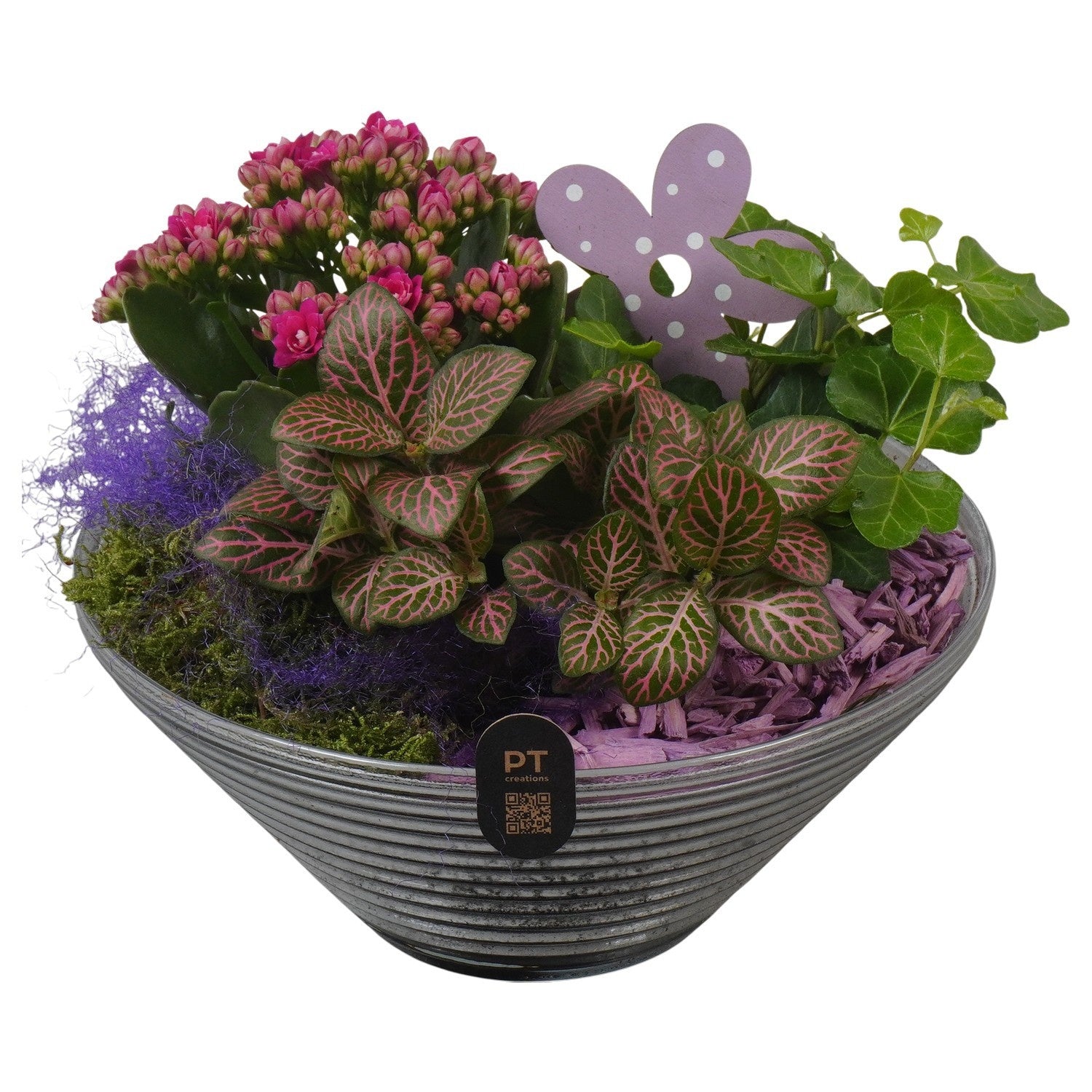 Indoor arrangement 18cm 19cm Pot