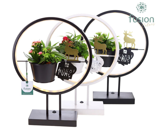Metalen LED globe met rendier en Kerst Arrangement 43cm 30cm Pot